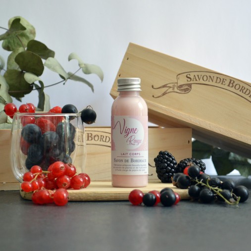 L'INDISPENSABLE VIGNE ROUGE