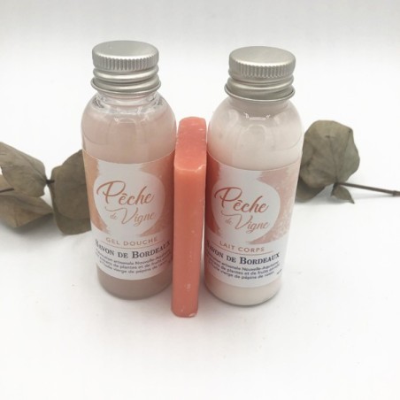 L'INDISPENSABLE PECHE DE VIGNE